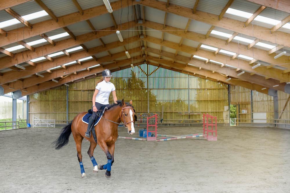 MONTISELLE-HORSE-7551