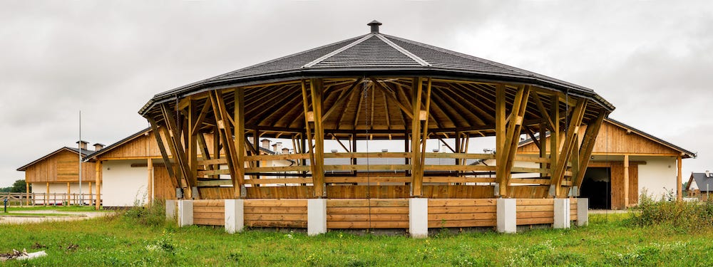 MONTISELLE-HORSE-7550